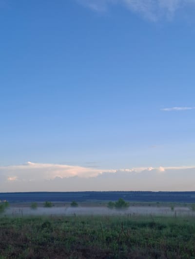 The image shows a landscape scene, including a field to the right. Beyond the field, there is a dark treeline. To the left of the treeline are a few clouds. The rest of the left side is blue sky. The location is Елец-Маланино, Russia.