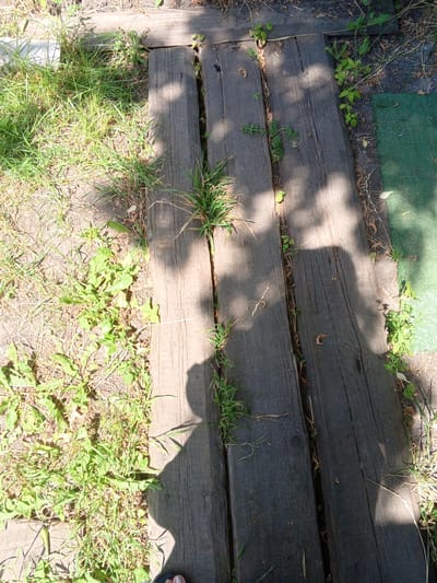 A close-up overhead shot shows a wooden walkway made of several weathered planks laid parallel to each other. The planks are dark gray, showing signs of age and weathering, with visible grain and occasional knots. There are gaps between some of the planks where grass and small weeds are growing. To the left of the walkway, there is an area of dry, patchy grass and soil. To the right of the walkway, a section of green artificial turf is visible. Shadows of tree branches and possibly a person are cast across the wooden planks. In the bottom right corner of the frame, a person's foot wearing a dark sandal with a light-colored toenail is visible, suggesting the perspective is from someone standing on or near the walkway. The scene appears to be outdoors in a natural or park-like setting, potentially within the city of Boldyrevka, Russia.