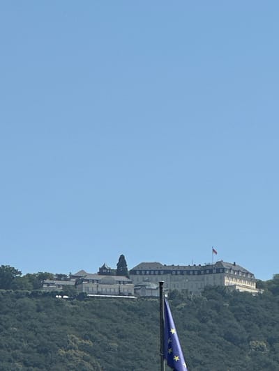 The image shows a building perched on a hillside covered in trees, under a clear blue sky. A flag, likely the European Union flag with its characteristic blue background and yellow stars, is visible in the foreground, partially obscuring a pole. A small red and white flag flies from a pole on the building. The building itself appears to be a large, multi-story structure with a distinct architectural style, possibly a hotel or administrative building, situated on a steep incline. The surrounding vegetation is dense and green, suggesting a natural, possibly park-like, environment. The image is taken from a slightly elevated perspective, looking up towards the building and the hillside. The orientation of the image is vertical, with the sky occupying the left portion and the building and hillside on the right. There is no visible text in the image. The bright sky and vibrant greenery suggest it is daytime, likely on a sunny day, possibly in spring or summer. The setting appears to be a scenic location, possibly a historical site or a place of importance given the presence of flags. The lack of people suggests the scene is captured without immediate human activity, focusing on the architecture and landscape. Given the location context of Bonn, Germany, this could be a view of a prominent building or landmark in the area.