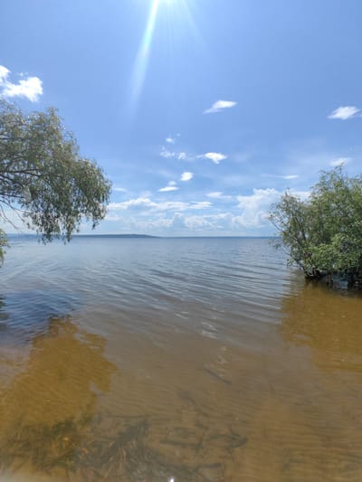 A wide-angle, eye-level view captures a serene waterscape on a bright, sunny day. The scene is dominated by a large body of calm water, likely a lake or wide river, stretching towards a distant, hazy horizon. The water is a muted brown color near the shore, revealing the sandy bottom with ripples and submerged aquatic plants. Further out, the water takes on a deeper blue-grey hue.

On the left side of the frame, a tree branch, heavy with green foliage, dips down towards the water, casting a subtle reflection. On the right, a dense cluster of green bushes or trees grows directly from the water's edge, with their lower branches submerged.

The sky above is a vibrant blue, dotted with scattered, fluffy white clouds. A bright sunbeam cuts diagonally across the upper left portion of the image, creating a lens flare effect and illuminating the scene with a warm glow, suggesting it is midday.

The overall atmosphere is peaceful and tranquil, evoking a sense of natural beauty and a warm summer day. The location is identified as Panskaya Sloboda, Russia. There is no visible text in the image.