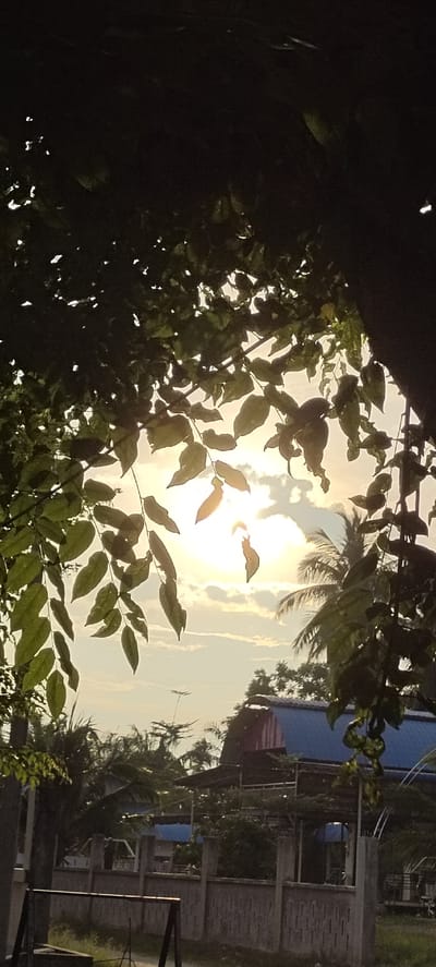The image captures a sunset viewed through tree branches and leaves, with the sun's rays creating a bright, hazy glow. In the background, structures with blue roofs are visible, surrounded by trees, including palm trees. A concrete fence runs horizontally across the lower portion of the image, with a metal swing set in the foreground. The scene appears to be an outdoor area in a residential or semi-rural setting. Based on the context provided, this location is Meunasahgeumata, Indonesia. There are no people or animals clearly depicted in the image. The overall lighting suggests it is late afternoon or early evening.