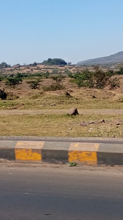 A panoramic view of a dry, grassy landscape with scattered trees under a clear blue sky. In the distance, a small settlement nestles at the base of a larger hill, which stretches into the horizon. A road with a yellow and gray safety barrier is in the foreground.