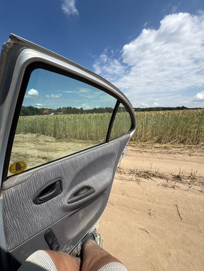 An open car door reveals a view of a sun-drenched rural landscape with a field of tall, golden grain stretching towards a line of trees under a bright blue sky dotted with white clouds. The ground in front of the car is sandy and dry. A person's legs are visible in the foreground, wearing striped shorts and athletic shoes, with their feet resting on the sandy ground near the car door. The interior of the car door shows a grey patterned fabric, a black door handle, and a window crank. A yellow circular sticker with a bear image is affixed to the lower part of the car door frame. The scene is likely located in a rural area outside of Opatów, Poland, given the agricultural setting.