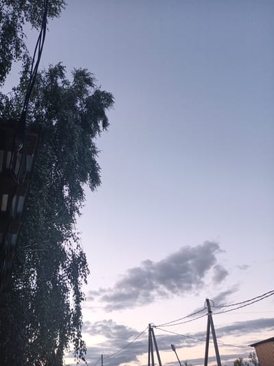 The image captures an outdoor scene with a clear, pale blue sky, transitioning to a slightly darker hue towards the horizon, suggesting it might be dusk or dawn. The upper left portion of the frame is dominated by the dark green foliage of a deciduous tree, with its branches extending towards the right. A dark cable runs vertically along the left edge, attached to an unseen structure. In the lower half of the image, a line of utility poles with wires stretches across the frame. Two prominent wooden utility poles are visible, supporting electrical wires. One pole is to the left and another to the right, with wires connecting them. A street lamp is also visible between the two main poles. A portion of a structure with a corrugated metal roof, possibly a shed or small building, is visible on the far right. In the distance, several dark, elongated clouds are scattered across the sky, adding texture to the otherwise clear expanse. The overall impression is one of a rural or suburban environment.