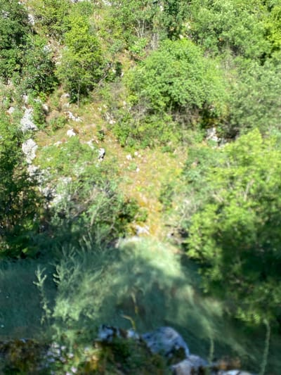 The image shows a sloped hillside densely covered with green vegetation, including trees and bushes. The terrain is rocky with some patches of dry grass and yellow flowers visible. In the foreground, the scene is blurred, but appears to show more greenery and rocks. The location is described as Градска општина Нишка Бања, Serbia, suggesting a natural, outdoor environment likely characterized by hills and rocky landscapes typical of the region. There are no people or discernible objects, nor any actions or interactions depicted.