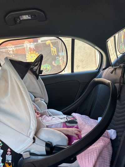 In the back seat of a vehicle, presumably a car, a baby is strapped into a white and grey car seat. A pink blanket is draped over the baby. A sunshade with cartoon animal designs is affixed to the window to the left of the baby. The vehicle appears to be in Ardea, Italy, based on the window markings.