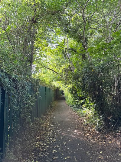 The image depicts a narrow, paved pathway winding through dense foliage in High Wycombe, United Kingdom. The pathway is bordered on the left by a green metal fence, approximately 6 feet high, partially obscured by ivy. On the right, the path is bordered by a dense thicket of trees and bushes. The ground of the path is covered with scattered fallen leaves, suggesting an autumnal setting or a well-worn trail. The trees form a canopy overhead, dappling the path with sunlight and shadow. The overall impression is one of a secluded, natural passageway within an urban environment. There are no people or animals visible in the image.