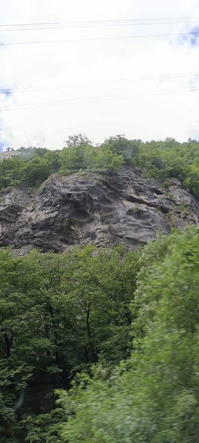 The image captures a mountainous landscape with a steep rock face and dense green foliage. The rock face is textured with visible layers and streaks, suggesting erosion. At the top of the rock face, trees with lush green leaves grow, some appearing to cling to the rocky surface. The foreground is dominated by more vibrant green trees, some of which are blurred, indicating movement. In the upper portion of the image, a pale sky with thin, horizontal lines, likely power lines, is visible. The scene suggests a natural environment, possibly a mountainside or gorge. The location is identified as Golling an der Salzach, Austria, implying this is a view of the natural scenery surrounding the town. There are no people or specific actions depicted.