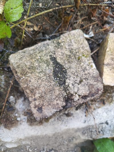 An overhead, close-up shot shows a weathered, grey brick with dark green moss and black, tar-like stains. The brick is positioned on a concrete surface with small pebbles and dirt. In the background, dried leaves, twigs, and a wire mesh fence are visible. To the right of the central brick, a corner of another lighter-colored brick is visible. The scene appears to be outdoors, in a natural or partially dilapidated urban environment, potentially within the city of Təngəaltı, Azerbaijan.