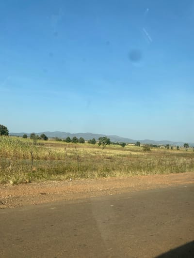 The image displays a rural landscape in Zankan, Nigeria, viewed from an elevated perspective, possibly through a vehicle window due to visible lens flares or smudges in the sky portion. The foreground features a dark grey asphalt road spanning the bottom, immediately bordered by a reddish-brown dirt and gravel shoulder. Beyond this, a wide expanse of open field dominates the midground. To the left, a section of tall, dense green and dried brown crops is visible, contrasting with the predominantly dry, yellowish-brown grass and sparse green vegetation covering the remainder of the field. Several individual trees are scattered across the field, and rudimentary wooden stakes or fencing appear in the left-mid section. The background presents a hazy range of low mountains or hills, appearing dark green-grey, stretching across the horizon. Above the landscape, a clear, bright blue sky with no clouds is visible. There are no people, animals, or man-made structures other than the road and distant potential fencing.