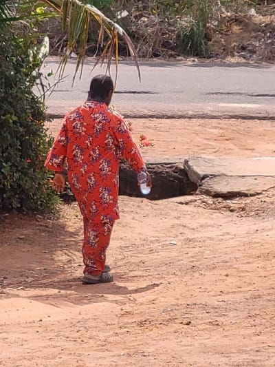A single individual is depicted walking away from the camera on a dirt path in Ebenebe, Nigeria. The person wears a matching red, orange, and blue floral patterned long-sleeved top and trousers, along with dark sandals. In their right hand, they carry a clear plastic bottle. To the left, dense green foliage is visible. The ground consists of reddish-brown dirt. In the mid-ground, a dark, uneven patch of earth and a grey concrete-like slab are present. In the background, an asphalt road with visible wear extends horizontally. Beyond the road, dry, sparse vegetation is observed. A palm frond extends into the upper left quadrant of the frame. The scene is illuminated by daylight, casting shadows to the right of the individual.