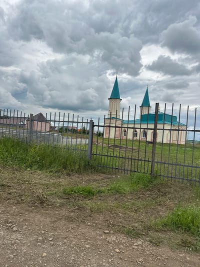 A mosque with two teal-domed minarets and a teal roof stands behind a black metal fence in a grassy field. The mosque is a light-colored building with arched windows and pink decorative accents. In the background, there are several houses with various roof colors, and a cloudy sky looms above. The foreground is a dirt path with gravel. The image was taken in the city of Ozerne, Russia.