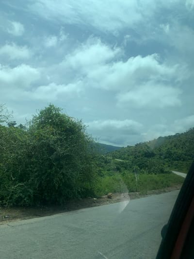 The image depicts a rural mountainous landscape in Assob, Nigeria, viewed from what appears to be a vehicle. The foreground features a two-lane paved road, dark grey in color, running from the lower left to the mid-right, curving into the distance. To the immediate left of the road, a dirt shoulder is visible, on which a small, irregular brown object rests near the center-left. Above this shoulder and extending towards the left is dense, verdant vegetation, dominated by a large, bushy tree with thick green foliage and hints of reddish-orange elements, possibly fruit or flowers. The midground and background consist of multiple layers of heavily forested hills and mountains, uniformly covered in lush green vegetation, suggesting a tropical or subtropical environment. A winding segment of the same road is visible on the hillside in the mid-right. The sky overhead is partially overcast with numerous light blue and white cumulus clouds. Reflections from an interior element are visible on the far right side of the image, indicating the perspective is from inside a vehicle. No human figures or discernible animal life are present.