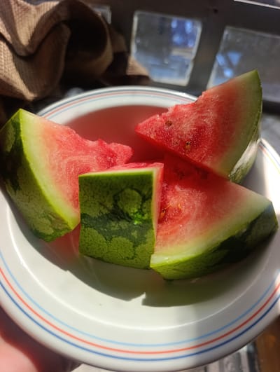 In Dundori ward, Kenya, a close-up shot shows four wedges of sliced watermelon on a white plate with red and blue stripes. The watermelon is juicy and bright red, with some visible seeds. The plate is set on a surface that is partially obscured by a brown, textured cloth. Sunlight illuminates the scene, casting shadows and highlighting the textures of the watermelon rind and the cloth. In the background, through what appears to be a window or reflective surface, faint, blurry shapes suggest an indoor environment.