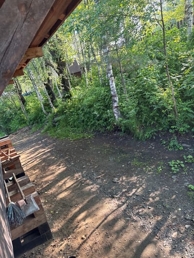 The image shows a dirt path in a wooded area, with a structure partially visible on the left. The path is lined with trees, predominantly birch trees with their distinctive white bark, and dense green undergrowth. Sunlight filters through the leaves, casting dappled shadows on the ground.

On the left side of the image, a portion of a wooden structure is visible. It appears to be constructed from rough-hewn wooden planks and beams. Resting against this structure are a broom and a shovel, suggesting outdoor work or maintenance.

In the background, more trees and foliage are visible, with a hint of a small wooden building nestled amongst the trees. The overall impression is of a natural, slightly unkempt outdoor environment, likely in a rural or semi-rural setting. Based on the prompt, this scene is located in Bol'shaya Rechka, Russia.