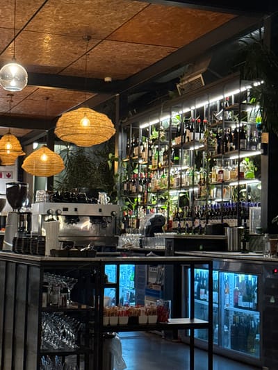 The image shows the interior of a wine bar or restaurant. Walls are covered with wood panels. A multi-tiered wine rack filled with bottles and greenery spans across. Underneath, there’s a bar area with what appears to be equipment and glassware. Hanging lights, some globe-shaped and others woven with warm light, provide illumination. A beverage cooler is visible with contents inside. The image is taken indoors. The bar may be located in Paarl, South Africa.
