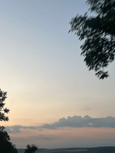 This image depicts a rural landscape at dusk, possibly in or near Kozar Belene, Bulgaria. The sky transitions from a pale blue at the top to soft hues of peach and pink near the horizon, indicating the setting sun. A line of dark, wispy clouds stretches across the middle ground, with lighter, more diffused clouds above them. In the foreground, silhouetted trees and foliage frame the scene on the left and right edges. The right side of the image features blurry, dark green foliage that appears to be moving, suggesting it's from a tree at the edge of the frame or potentially captured during motion. The left side shows a darker, more defined silhouette of trees and branches. The distant background reveals a darkened, undulating landscape, likely fields and hills, characteristic of a rural setting. There are no people or visible structures in the image, focusing solely on the natural environment and sky.