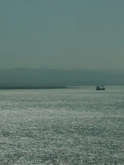 The image presents a serene seascape dominated by a vast body of water under a hazy sky. In the foreground and mid-ground, the water's surface shimmers intensely, reflecting light in countless small, bright glints, creating a textured pattern across the entire expanse.
In the middle distance, slightly to the right of the frame, a dark, blocky vessel, likely a cargo ship or similar large boat, is visible. It appears as a silhouette against the sparkling water, its form somewhat indistinct due to distance and atmospheric conditions. Beyond the water, a long, low-lying landmass, possibly a range of hills or mountains, stretches across the horizon. This distant landscape appears muted and layered, fading into the ambient light, suggesting either significant distance or atmospheric haze. The sky above is a uniform, subdued blue-green or grey, blending softly with the distant land.
The scene conveys a sense of spaciousness and tranquility. The strong reflections on the water indicate daylight, but the overall muted tones and atmospheric blur suggest either an overcast day or significant haze. There are no visible people or discernible text in the image. The location is contextualized as Dilovası, Turkey, suggesting the scene depicts a view across a part of the Sea of Marmara or the Gulf of Izmit.