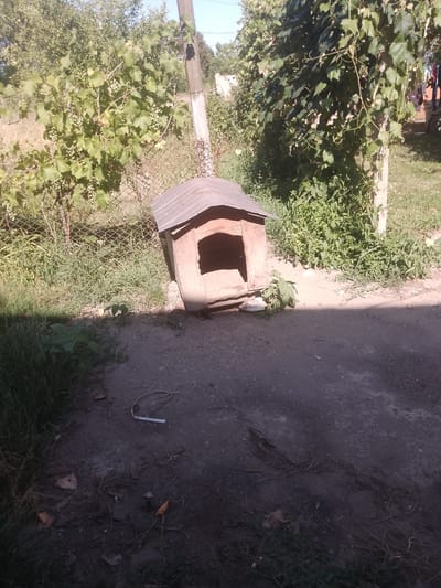 The image depicts an outdoor scene, likely in the city of Fanchykovo, Ukraine. In the center of the frame is a weathered wooden doghouse with a corrugated metal roof. The doghouse is tilted, leaning to its left side. It has a rectangular opening on the front. The doghouse is situated on a dirt path, with patchy grass and vegetation surrounding it. Behind the doghouse, a chain-link fence runs horizontally across the image. Lush green foliage from trees and vines, some bearing small green fruits, grows along the fence and on a concrete post to the right of the doghouse. The background shows more trees and vegetation, suggesting a rural or semi-rural setting within the city. The ground in the foreground is a mix of dirt and asphalt, with some debris, including dried leaves and small branches. A discarded piece of bent metal is visible on the ground to the left of the doghouse. Sunlight casts shadows across the scene, indicating it was taken during the daytime. There are no people or animals visible in the image.