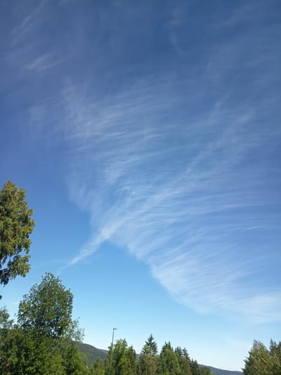 This is a landscape photograph taken in Drammen, Norway, on a clear day with a light breeze. The scene depicts a vast, bright blue sky filled with wispy, white cirrus clouds that stretch across the frame, creating a sense of depth and movement.
In the foreground, a dense line of lush green trees forms the bottom edge of the image. These trees vary in height and density, with some reaching higher into the frame, particularly on the left side. The foliage is vibrant and healthy, suggesting a warm season.
Behind the trees, rolling hills covered in a darker green forest rise gently, creating a textured backdrop. The hills extend into the distance, their forms softened by the sunlight and atmospheric perspective. A single, thin, dark lamppost stands tall amongst the trees on the right side of the frame, a subtle indication of human presence.
The overall mood of the image is peaceful and serene, evoking a feeling of calm and natural beauty. The bright sky and verdant landscape suggest a pleasant time of day, likely late morning or early afternoon, under fair weather conditions. There is no visible text in the image.