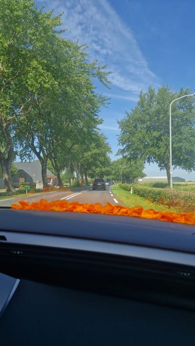 The image is taken from inside a vehicle, looking out at a tree-lined road. The perspective is slightly tilted, suggesting the photo was taken while moving. The foreground is dominated by an orange garland draped along the edge of the vehicle's interior, possibly a dashboard or window frame.
The scene outside depicts a road curving to the left, flanked by mature trees with lush green foliage. Sunlight filters through the leaves, casting dappled shadows. Several cars are visible on the road ahead, suggesting normal traffic. In the distance, there are glimpses of rural landscape, including fields and buildings. The sky is a bright blue with a few wispy clouds, indicating a clear and sunny day, likely late morning or early afternoon. The overall atmosphere is peaceful and serene, capturing a moment of travel through a picturesque rural setting in Uithuizen, Netherlands.
There is some text visible on a green sign by the side of the road, which reads "GP RECYCLING" and some other smaller text below it that is difficult to read. The garland appears to be made of marigold flowers, often used in decorations for celebrations and religious events.