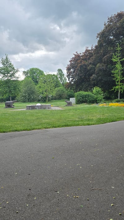 The image depicts a section of the Zirndorfer Friedhof (cemetery) in Zirndorf, Germany. A paved pathway runs along the right side of the frame, with scattered leaves and debris visible on its surface. To the left of the path is a grassy area with several trees and bushes. Headstones or monuments are placed sporadically throughout the grass. The sky is overcast, with visible cloud cover.