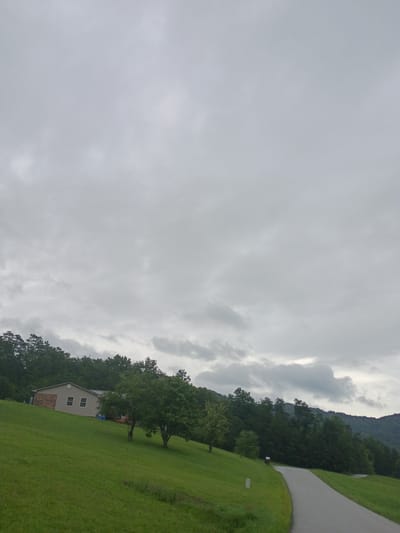 The image depicts a rural landscape under an overcast sky. In the foreground, a grassy hillside slopes downward towards a paved road that curves out of view to the right. A single-story house, light-colored with a darker roof and brick accents on one side, is situated on the hillside. Two trees, one larger and fuller than the other, stand near the house. Behind the house and the hillside, a dense line of dark green trees forms a backdrop, leading up to rolling hills or mountains in the distance. The sky is filled with heavy, grey clouds. The scene is static and appears to be taken from a slightly elevated viewpoint, looking down and across the landscape. There are no people or animals visible in the image.