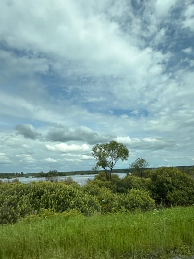 The image depicts a natural landscape with a body of water in the distance, bordered by dense green foliage and trees. The sky is filled with a mix of white and gray clouds. The foreground is dominated by tall green grass. There are no people or man-made structures visible in the scene. The location is identified as being in the city of Kluchi, Russia.
