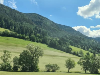 This is a landscape photograph taken in Scheifling, Austria. The image depicts a lush green mountainside covered in dense forest, with a bright blue sky and scattered white clouds above. In the foreground, rolling green fields are visible, with several trees and bushes dotting the landscape. The fields appear to be cultivated, with visible patterns of mown grass or hay. The overall scene conveys a sense of natural beauty and tranquility.