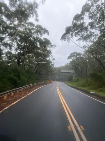 The image, oriented vertically, captures a wet, winding asphalt road flanked by dense forest under an overcast sky. The perspective is from a vehicle traveling along the road, looking forward. Double solid yellow lines mark the center of the road, signifying a no-passing zone, and bright yellow reflective road markers (cat's eyes) are interspersed along these lines. Along the right edge of the road, particularly where it curves sharply to the left in the distance, orange or red reflective markers are visible.

Tall, leafy trees, typical of Australian bushland, densely line both sides of the road, their foliage appearing somewhat blurred, suggesting motion or mist. The sky is a uniform grey, indicating cloudy conditions or recent rain, which is consistent with the glistening, wet road surface.

In the mid-ground, a utility pole stands among the trees on the left side of the road. Further into the hazy distance, a grey bridge or underpass structure can be seen spanning over the road. The scene is devoid of people or other vehicles, conveying a sense of solitude while traversing this lush, forested route. The wet conditions and dense vegetation align with characteristics of driving through scenic areas like Stanwell Park, Australia, during wet weather. No text is visible in the image.