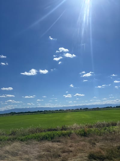 The image depicts a vast, vibrant green field under a bright, sunny sky. Scattered white cumulus clouds dot the expanse of the blue sky, which is dominated by the intense glare of the sun in the upper right corner, casting prominent light rays downwards. In the distance, a range of hazy, blue mountains forms a picturesque backdrop, with a line of trees separating the field from the mountains. The foreground is characterized by a strip of dry, tall grass and vegetation, adding a textural contrast to the smooth green of the field. The scene appears to be a rural landscape, likely in the city of Voysil, Bulgaria, given the context. There are no people or specific objects, actions, or interactions visible in the image. The environment is natural and serene, under a clear, sunlit sky.