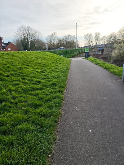 The image depicts an outdoor scene along the Wilts & Berks Canal path, looking towards the Faringdon Road Bridge (B4006) in Swindon, United Kingdom.
In the foreground, a vibrant green grassy bank occupies the left half, displaying dense, unevenly cut turf. To its right, a dark grey asphalt pathway extends towards the background, gently curving right. The path's surface shows minor aggregate.
In the midground, to the left beyond the grassy bank, a red-brick building with visible structural elements or scaffolding stands partially obscured by bare-branched trees. A few vehicles are discernible on a higher road or parking area behind these trees. Along the right side of the pathway, a black litter bin and a tall, green information board (identified as a Sustrans sign) are present. A shorter, dark grey lamppost is positioned further along the path.
The background features a brick arch bridge spanning the Wilts & Berks Canal, with the pathway continuing beneath it. A smaller blue sign is affixed to the bridge structure. Above the bridge, Faringdon Road (B4006) is visible, carrying vehicular traffic, with additional street lighting or utility poles. Beyond the canal and bridge to the right, trees with early spring foliage or blossom line the canal bank. The sky is predominantly light grey with brighter white areas, suggesting partial cloud cover. No people or specific actions are depicted in the scene.
