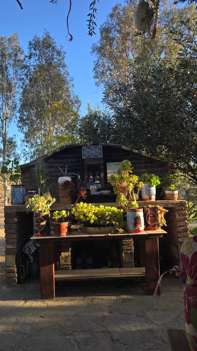 The image depicts an outdoor setup in Tierra Santa, Mexico, featuring a rustic wooden structure with a brick base, adorned with various potted plants. A table in front of the structure displays more potted succulents and decorative elements. In the background, tall trees and a clear blue sky suggest a warm, sunny day. The overall scene evokes a sense of a charming, garden-like outdoor space.