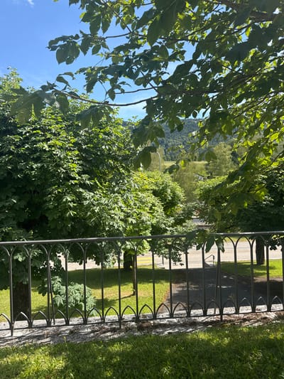 The image shows a view through a wrought iron fence looking out onto a green landscape under a clear blue sky. Lush green trees, some with large leaves, dominate the foreground and midground. In the distance, rolling hills covered in trees can be seen. A paved road with yellow lines runs horizontally through the midground, with some buildings visible beyond it. The ground in the foreground is covered in grass. The fence has an ornamental design with arched elements. The overall impression is one of a peaceful, natural setting. This scene is located in Court, Switzerland.