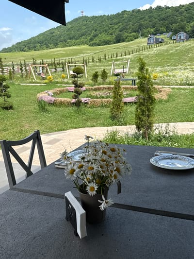 An outdoor table setting overlooks a grassy hillside with scattered wildflowers. The table is gray, with a black napkin holder filled with white napkins on the left. In the center, a bouquet of white daisies in a dark pot sits beside a plate and cutlery. A dark chair with a crisscross back is positioned at the table. In the background, a green hill rises, dotted with trees and modern houses. A playground with swings is visible in the mid-ground. The scene is likely at a restaurant or guesthouse in Dsegh, Armenia, offering a view of the natural landscape.