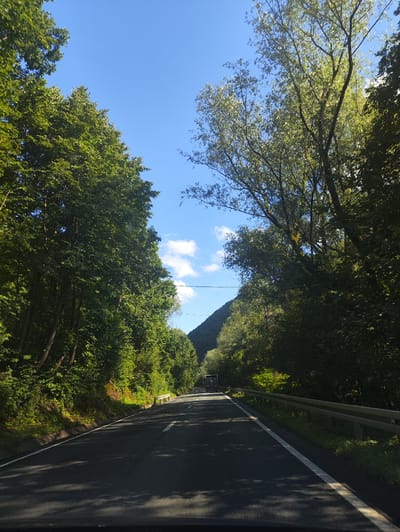The image depicts a road passing through a dense forest, likely in Leordina, Romania. The road, paved with asphalt, is marked with white lines indicating lanes. A metal guardrail runs along the right side of the road. The forest flanking the road is lush and green, with tall trees creating a canopy overhead. Sunlight filters through the leaves, casting dappled shadows on the road. The sky above is a clear blue with a few scattered white clouds. In the distance, a truck is visible on the road. The overall scene suggests a journey through a natural, wooded landscape.