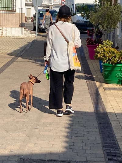 In the town of Cancelada, Spain, on a sun-drenched cobblestone street, a woman walks her dog. The woman, viewed from behind, wears a white long-sleeved blouse, black wide-leg pants, and black and white athletic shoes. She has a brown strap across her chest, a tote bag hanging from her shoulder, and holds a blue and green leash connected to her dog. The dog, a small, slender, tan breed, walks ahead of her on the leash, its tail held high. Behind them, a dark blue SUV is parked on the street. The surrounding environment features buildings with white facades and tiled roofs, several potted plants, and street infrastructure like a metal grate along the side of the path.