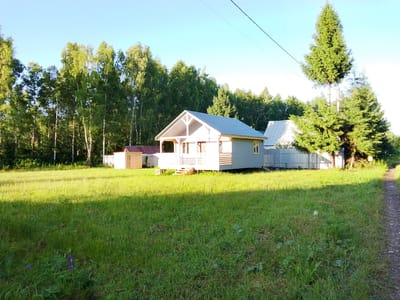 The image depicts a rural scene in Snopok Novyi, Russia, featuring a small, light blue house with a gray metal roof and a porch with white railings. To the left of the main house, there is a smaller wooden shed with a reddish-brown roof. The houses are situated on a grassy field bathed in sunlight, with dappled shadows from trees. A dirt path runs along the right edge of the frame. In the background, a dense line of trees, primarily birch and evergreen, forms a natural border. The sky is clear and blue. There are no people or animals visible in the image.