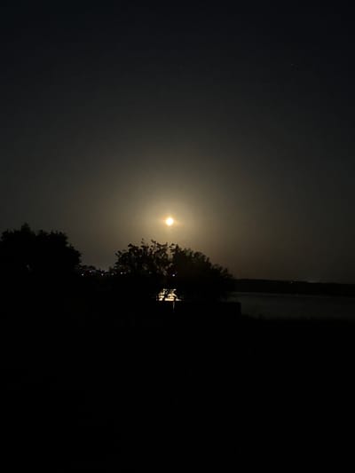 A nighttime photograph captures the moon shining brightly in a hazy sky. Silhouetted trees and vegetation form a dark band across the lower portion of the image, with the dark water of a lake or river visible in the middle ground. In the distance, a faint line of lights suggests the presence of a settlement. The image appears to be taken from the outskirts of Protopopivka, Ukraine, looking towards the water. The overall mood is serene and quiet, with the moon's glow illuminating the scene.