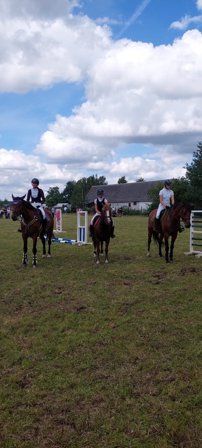 The image depicts a horse show event at an outdoor venue in Berniūnai, Lithuania. Three riders on horseback are prominently featured in the foreground. The rider on the left, mounted on a dark brown horse with a purple bridle, wears a dark riding jacket and a helmet. In the center, a rider on a chestnut horse with a light mane, also wearing a helmet, is positioned in front of a low jump obstacle constructed with white standards and blue and white poles. To the right, another rider on a brown horse, wearing a white shirt and helmet, is visible. The background shows a rural setting with trees, a building with a dark roof, and a cloudy blue sky. The ground is covered in green grass, with some areas appearing dry and uneven. Spectators are visible in the distance, suggesting a public event.