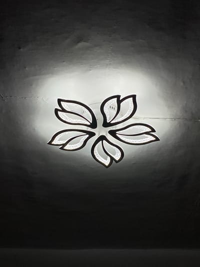 A black and white, overhead shot captures a modern ceiling light fixture shaped like a flower with five petals. Each petal is outlined in black and filled with small, bright white lights, giving the impression of a blossoming flower. The ceiling itself is textured and uneven, with areas of shadow and a bright glow emanating from the light fixture, suggesting it is the primary light source in the room. The surrounding area of the ceiling is dark, creating a dramatic contrast with the illuminated fixture. The image does not depict any people, actions, or interactions. The specific location of Зыбинское сельское поселение, Ukraine, is not visually identifiable from the image alone.