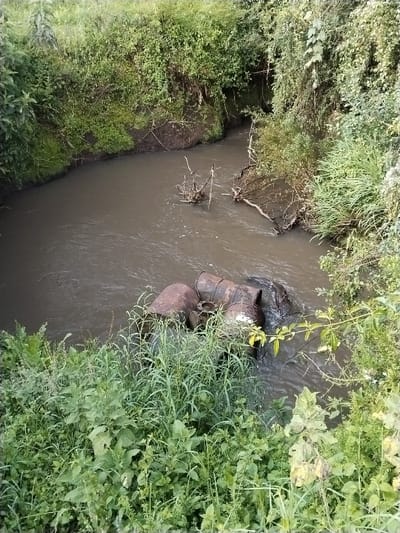 The image depicts a section of a murky, brown waterway, identified as being in Ndiara, Kenya. The water exhibits a discernible current, evidenced by surface ripples. Both banks are steep and densely overgrown with lush green vegetation, including tall grasses, broad-leafed plants, bushes, and vines, some of which overhang the water.

In the foreground, against the left bank, a cluster of approximately four or more rusted metal industrial barrels is partially submerged in the water. One barrel, positioned near the water's edge, clearly displays a pipe-like fitting or valve on its exposed surface. Further into the waterway, towards the center and right bank, several accumulations of dead branches and roots are visible, some partially submerged. The background shows the waterway curving and disappearing into additional dense vegetation. No individuals or animals are present in the scene. The overall environment suggests a natural setting with evidence of discarded industrial objects.