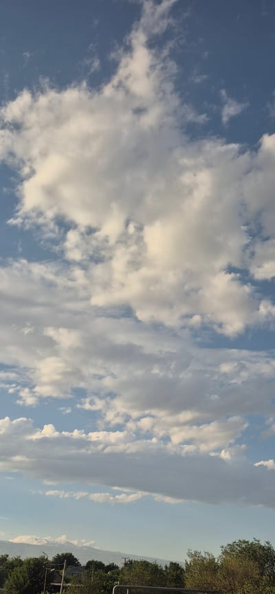 The image is a landscape photograph taken outdoors in Metsamor, Armenia. It depicts a sky filled with various clouds, ranging from fluffy white cumulus clouds to more wispy, elongated cirrus clouds, set against a clear blue sky. Sunlight illuminates the clouds, creating areas of brightness and shadow, suggesting it is daytime, likely late afternoon or early morning given the warm tones in some of the clouds.
In the lower right portion of the frame, a line of trees forms the horizon, with the tops of some trees appearing darker and denser, while others are lighter and more exposed to the sun. Beyond the trees, a distant mountainous landscape is visible, shrouded in a soft, hazy light. A few faint man-made structures, possibly utility poles or small buildings, can be seen peeking through the trees or in the distance, hinting at a rural or semi-rural setting. The overall mood is serene and natural, focusing on the beauty of the sky and the expansive landscape. There is no visible text in the image.
