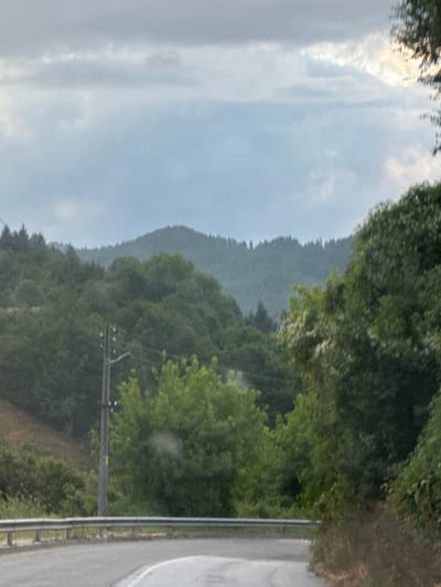 The image depicts a winding road with a guardrail, bordered by dense green trees and rolling hills. In the background, a line of dark green trees forms a ridge against a cloudy, overcast sky. A utility pole with wires is visible on the left side of the road. The scene appears to be a rural landscape, potentially on the outskirts of Taran, Bulgaria, given the mention of the city. No people or specific activities are evident.