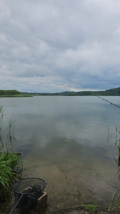 The image depicts a serene waterscape at Moluvėnai, Lithuania. The scene is dominated by a calm lake with shallow, sandy areas visible along the edge. Tall green reeds and grasses line the bank, creating a natural border between the land and the water. In the foreground, a black fishing net rests on the bank, partially submerged in the water, suggesting an activity related to fishing. A fishing rod extends from the right side of the frame, its tip just visible over the water, further confirming the fishing context.
The opposite bank of the lake is lined with a dense forest of green trees, creating a natural and lush backdrop. Above, the sky is filled with a mix of light and dark grey clouds, indicating an overcast or partly cloudy day, possibly suggesting a slightly humid or cool atmosphere. The lighting is diffused, consistent with a cloudy sky. The water's surface reflects the sky and the surrounding greenery, adding to the tranquil ambiance of the scene.
There are no people visible in the image, but the presence of the fishing rod and net implies human activity. The overall mood is peaceful and natural, characteristic of a quiet day spent by the water. The time of day appears to be daytime, given the brightness of the sky and the clarity of the scene, though the cloud cover prevents direct sunlight. No text is visible in the image.