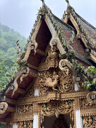 This image presents a detailed, angled view of a richly decorated Buddhist temple structure in Chiang Dao, Thailand, set against a backdrop of lush tropical mountains and a hazy sky.

The primary subject is the upper section of a temple building, featuring a multi-tiered roof composed of reddish-brown terracotta tiles. The roof structure exhibits significant weathering, with pervasive moss, lichen, and various epiphytic plants (such as ferns and air plants) growing along the tiles and on the ornate gables and eaves. Stylized, curving finials, possibly Naga or Chofa, adorned with floral motifs and geometric patterns, cap the roof edges and peaks; these too are discolored and overgrown with vegetation. Small, golden-colored bells are suspended from several points on the roof ornamentation.

Below the roof, the facade and pediment are extensively covered in intricate, three-dimensional carvings. These decorations are predominantly gilded in gold leaf, with accents of dark red and green paint. The central pediment features a prominent golden, mythical bird-like creature (resembling a Hamsa or Kinnara) depicted mid-stride or standing on one leg, surrounded by elaborate swirling foliage and scrollwork. Further down, the carvings include various seated human-like figures, possibly devas or celestial beings, integrated into dense patterns of golden flora and geometric designs. The architecture utilizes white columns or structural elements for contrast against the ornate golden panels.

The background reveals a dense, verdant landscape of tropical mountains covered in trees, partially obscured by atmospheric haze or mist, indicating an overcast or humid day. No people or animals are visible within the frame. The scene highlights the intricate craftsmanship of the temple's architecture and its integration with the natural, overgrown environment.