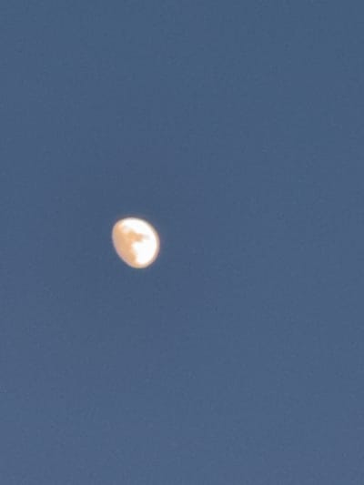 A pale, yellowish-orange, oval-shaped object is suspended against a deep blue sky. The object, which appears to be the moon, is not perfectly round and has some indistinct cloud-like formations on its surface. The sky is clear and appears to be daytime, given the brightness of the object and the color of the sky. There is no visible text in the image. The location context is the Municipal Unit of Dafni, Greece.