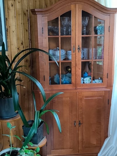 The image shows a wooden china cabinet with glass doors, filled with various decorative items and tableware, in a room with wood-paneled walls. In the foreground, several green houseplants are visible, one in a dark pot on a wooden stand, and another in a white pot at the bottom of the frame. To the left of the cabinet, part of a framed picture can be seen on the wall. A white curtain drapes on the right side of the image. The setting appears to be a domestic interior, likely a living room or dining room. The location is specified as Žiaukos, Lithuania.