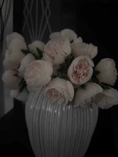 A close-up, slightly blurry, low-light photograph features a bouquet of pale pink, rose-like artificial flowers in a ribbed white ceramic vase. The vase is positioned in the lower center of the frame, with the flowers spilling over the top. The background is dark and indistinct, with a suggestion of a patterned screen or curtain behind the flowers on the left side. There are no people or animals visible in the image. The scene appears to be indoors. There is no information within the image to indicate its location in De Panne, Belgium.