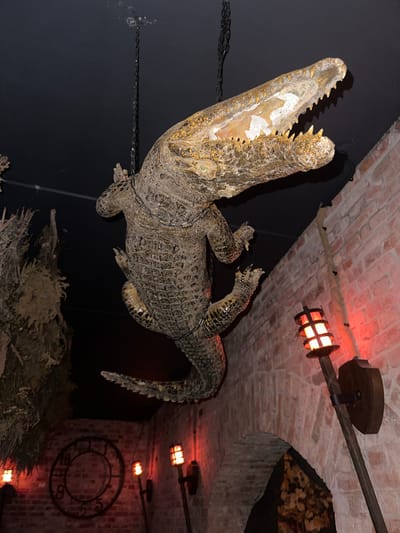 A large, detailed replica or taxidermied alligator is dramatically suspended from the ceiling in an indoor, dimly lit setting. The alligator hangs with its head angled upwards and mouth agape, revealing numerous sharp teeth and a light-colored, textured interior. Its scaly body displays intricate patterns of brown, gold, and dark grey. Black chains are visible, supporting the creature against a dark, possibly black, background wall.
The ceiling above is an arched structure made of rustic reddish-brown bricks, suggesting an old cellar or vault. Several antique-style, caged light fixtures are attached to the brickwork and walls, emitting a warm, reddish-orange glow that casts dramatic shadows and contributes to a moody atmosphere.
In the background, on a brick wall to the right, a large, dark, circular metal decorative element is visible, resembling an ancient clock face without hands or an abstract symbol. Below the suspended alligator, hints of dark, textured foliage or artificial rock formations can be seen.
The scene depicts a static display, likely in a themed restaurant, bar, or museum in Guryevsk, Russia, designed to evoke a sense of adventure or historical intrigue. The lighting suggests an evening setting or a perpetually dim interior. No visible text is present.